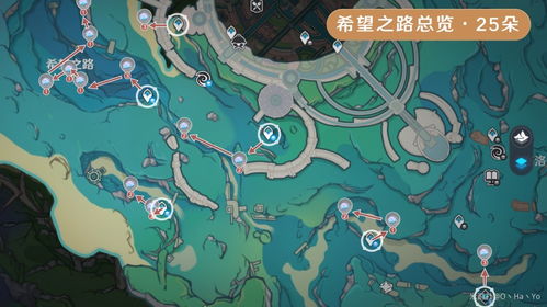 原神海露花速采攻略,告别迷路烦恼 原神海露花速采攻略,告别迷路烦恼