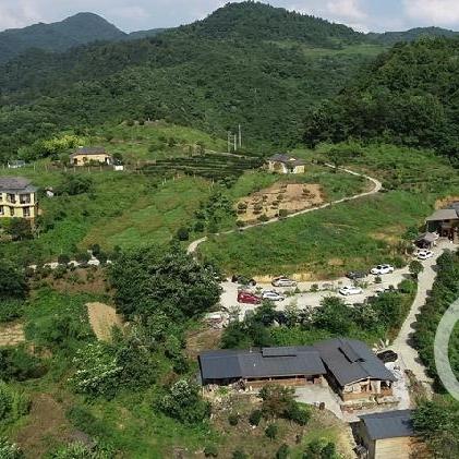 《星空》开荒流派推荐,告别迷茫! 《星空》开荒流派推荐,告别迷茫!