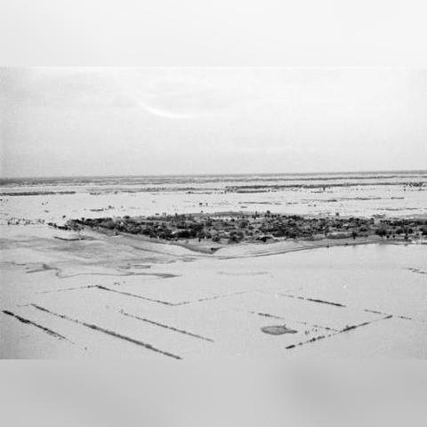 饥荒十周年大更新,解决存档丢失难题 饥荒十周年大更新,解决存档丢失难题