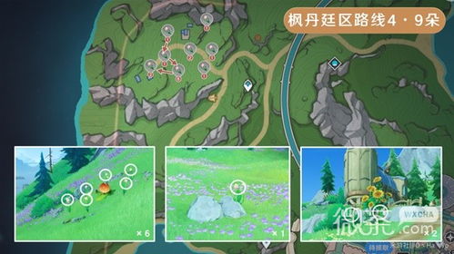 原神虹彩蔷薇获取攻略