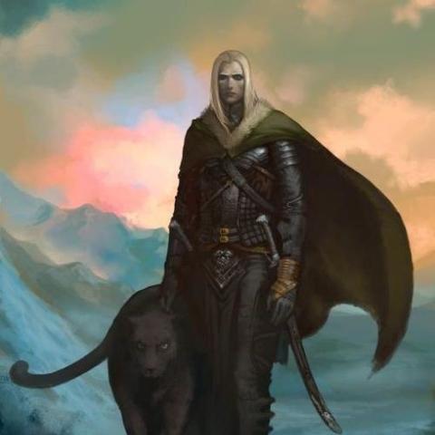 博德之门3圣武士输出攻略,提升战力必备! 博德之门3圣武士输出攻略,提升战力必备!