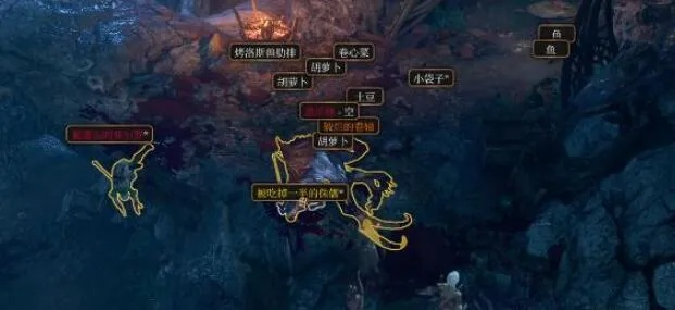 博德之门3死灵珍爱法杖获取攻略！快速入手！