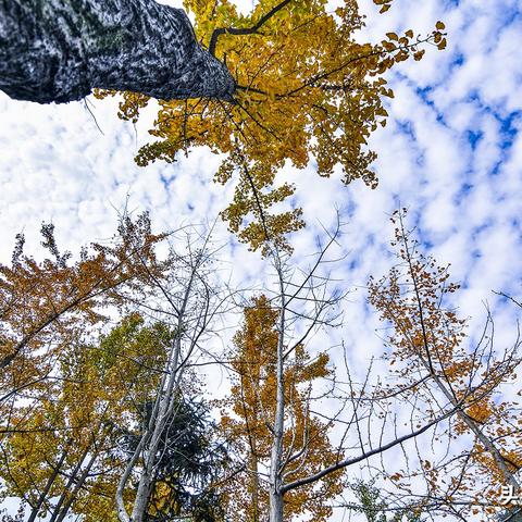 战神传奇新服【战神之巅】3月20日,全服黄金甲福利! 战神传奇新服【战神之巅】3月20日,全服黄金甲福利!