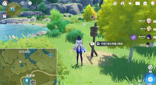 原神传心同视Day1：动物点位攻略揭秘