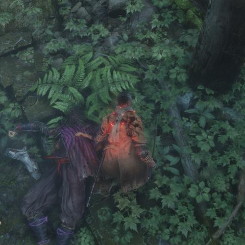 《只狼》玩家年杀一心，续作如何改写？破解苇名一心之谜