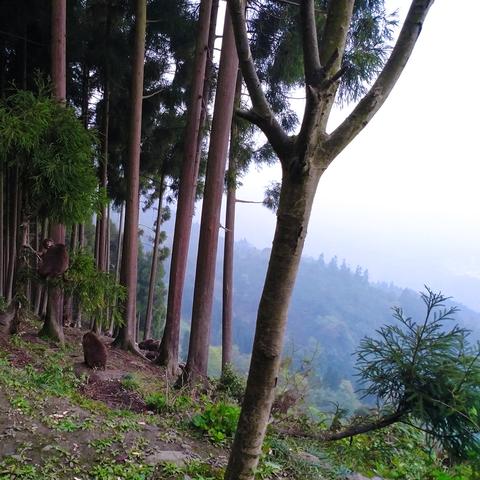 遗迹2百分百减伤配装攻略 遗迹2百分百减伤配装攻略