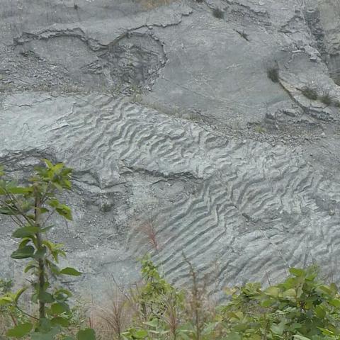 《遗迹2》高减伤吸血流工程师BD搭配攻略 《遗迹2》高减伤吸血流工程师BD搭配攻略