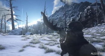 《命运方舟》阿尔古斯1370深渊日月鹿攻略！