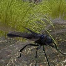 《命运方舟》直升券使用攻略:快速上手! 《命运方舟》直升券使用攻略:快速上手!