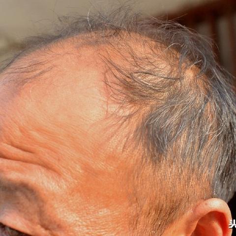 羊了个羊7月12日通关攻略，快速通关秘籍！