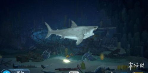 《潜水员戴夫》大白鲨克劳斯攻略,轻松取胜! 《潜水员戴夫》大白鲨克劳斯攻略,轻松取胜!