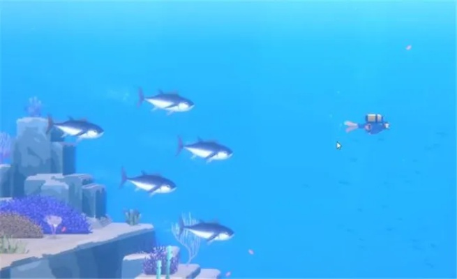 《潜水员戴夫》揭秘:大西洋鲣鱼捕获地大揭秘! 《潜水员戴夫》揭秘:大西洋鲣鱼捕获地大揭秘!