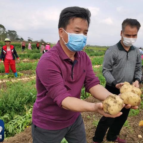 土豆兄弟玩法揭秘:轻松解谜,趣味无穷 土豆兄弟玩法揭秘:轻松解谜,趣味无穷