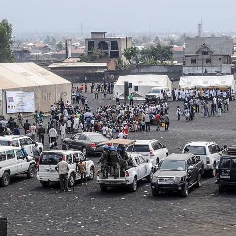 羊了个羊7月1日通关攻略，快速通关秘籍！