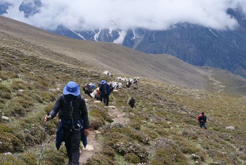 《族人》EA评测:苏格兰拓荒手记,7分体验如何? 《族人》EA评测:苏格兰拓荒手记,7分体验如何?