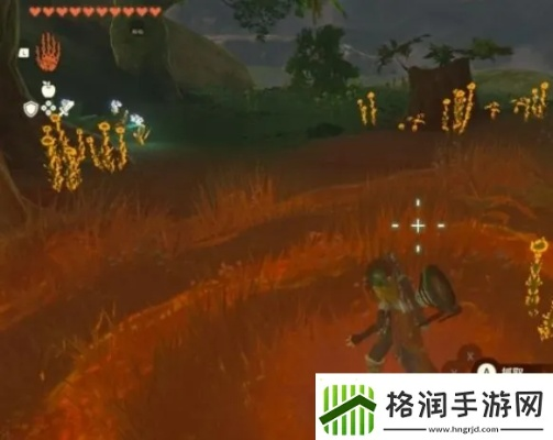 塞尔达王国之泪湿地全要素攻略,宝箱果实速收! 塞尔达王国之泪湿地全要素攻略,宝箱果实速收!