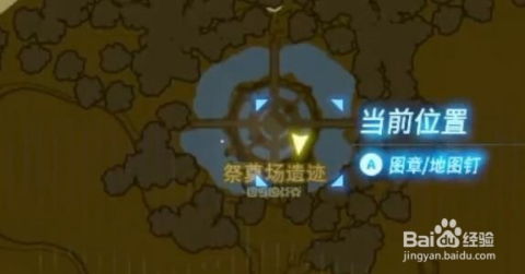 《塞尔达传说》巨霸伽马攻略，快速击破技巧揭秘