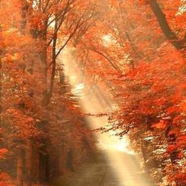 《烟火》评测9.5分:刻骨故事,疗愈心灵? 《烟火》评测9.5分:刻骨故事,疗愈心灵?