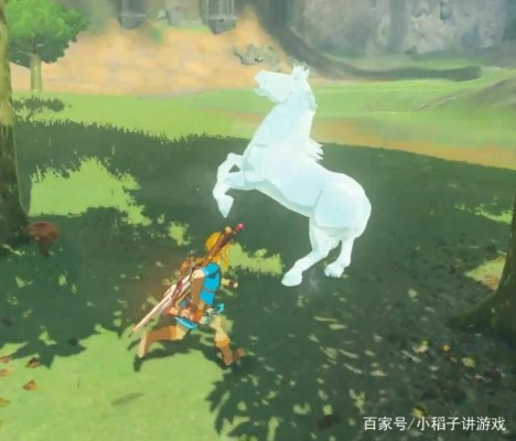 《塞尔达传说》七匹稀有马速得攻略 《塞尔达传说》七匹稀有马速得攻略