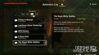 《塞尔达》冻肉复制法,快速批量制作攻略 《塞尔达》冻肉复制法,快速批量制作攻略