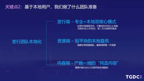 白夜极光黑话揭秘:破解行业术语难题 白夜极光黑话揭秘:破解行业术语难题