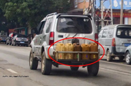 《归家异途》评测8.0分：一挂拖车，如何畅行天下？