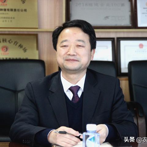 《我的世界:故事模式》评测7.4分,第一章伴猪同行,如何玩转? 《我的世界:故事模式》评测7.4分,第一章伴猪同行,如何玩转?