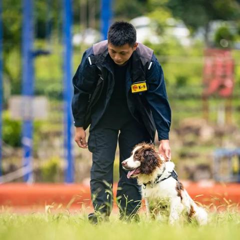 《暗黑4》通行证揭秘：战力提升攻略！