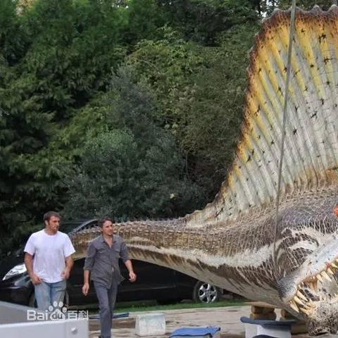 《塞尔达传说》鲸鱼化石攻略,快速完成! 《塞尔达传说》鲸鱼化石攻略,快速完成!