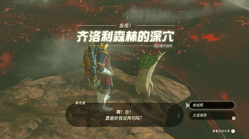 塞尔达泪无伤打法：幻影加侬剑版攻略