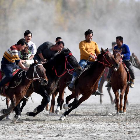 羊了个羊5月26日通关秘籍!快速通关攻略 羊了个羊5月26日通关秘籍!快速通关攻略