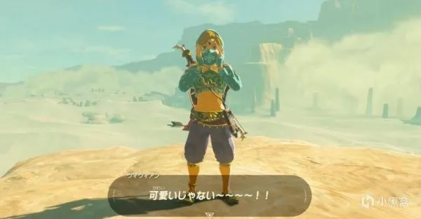 《塞尔达》快速进入林克时间技巧揭秘