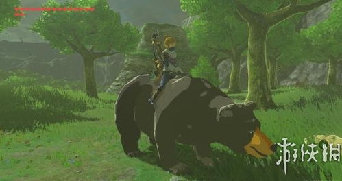 塞尔达坐骑驯养攻略,轻松升级! 塞尔达坐骑驯养攻略,轻松升级!
