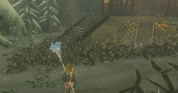 塞尔达泪鸟望台激活攻略 塞尔达泪鸟望台激活攻略