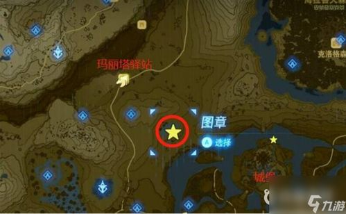 《塞尔达传说》扭蛋机权重揭秘:如何提高中奖率? 《塞尔达传说》扭蛋机权重揭秘:如何提高中奖率?