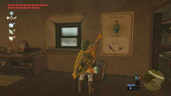 《塞尔达》实用料理秘籍，素材收集攻略！