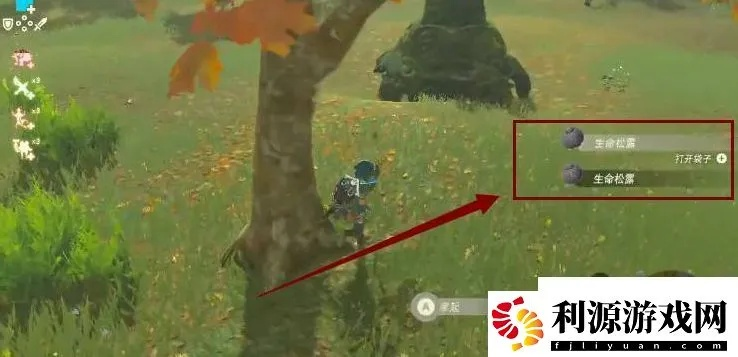 塞尔达生命小萝卜收集攻略,快速找到! 塞尔达生命小萝卜收集攻略,快速找到!