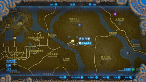 塞尔达雷电古栗欧克攻略,快速通关技巧 塞尔达雷电古栗欧克攻略,快速通关技巧