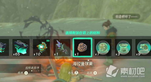 塞尔达传说泪平原鸟望台开启攻略 塞尔达传说泪平原鸟望台开启攻略