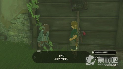 《塞尔达》萨格诺帽攻略:哈特诺村村长竞选全解 《塞尔达》萨格诺帽攻略:哈特诺村村长竞选全解