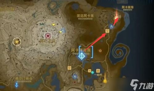 塞尔达泪泉任务攻略,快速通关秘籍! 塞尔达泪泉任务攻略,快速通关秘籍!