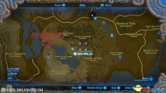 《塞尔达传说》空岛雪山蒲公英解谜攻略！快速通关