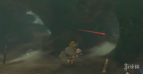 塞尔达传说泪解锁萨哈斯拉平原鸟望台攻略 塞尔达传说泪解锁萨哈斯拉平原鸟望台攻略