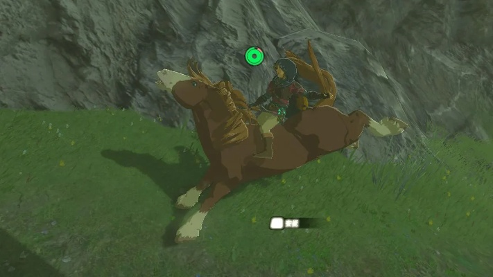 塞尔达传说抓马技巧，快速捕捉马匹攻略