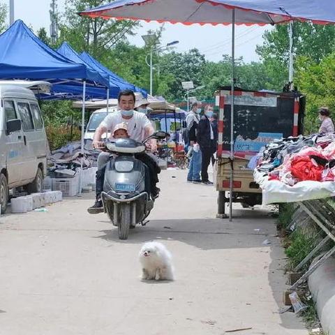 虚空列车萤火虫全息投影解谜攻略速成 虚空列车萤火虫全息投影解谜攻略速成