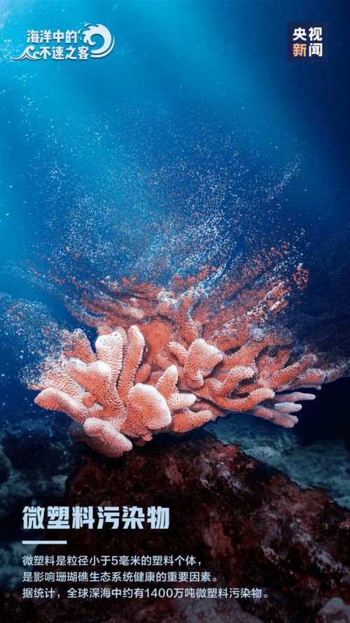 羊了个羊5月11日攻略，快速通关秘籍！