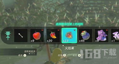 塞尔达传说泪眼鸟望台位置速查 塞尔达传说泪眼鸟望台位置速查