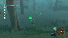 塞尔达克洛格面具获取攻略