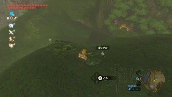 塞尔达泪村怪物大军速破攻略 塞尔达泪村怪物大军速破攻略