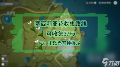 原神3.6版琉璃袋攻略，白术突破材料速收